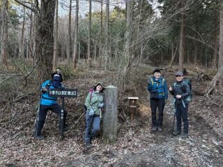 image_original (8).jpg