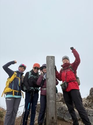 image_original (5).jpg