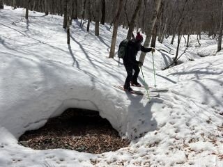 image_original (6).jpg