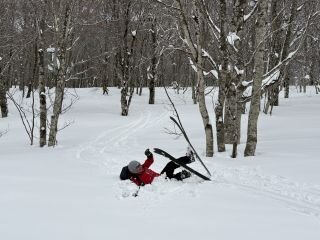 image_original (7).jpg