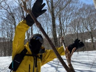 image_original (3).jpg