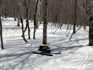 image_original (7).jpg