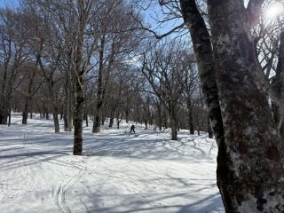 image_original (4).jpg