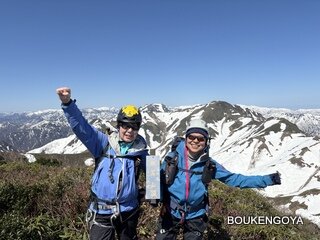 image_original (4).jpg