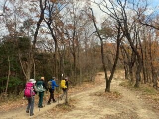 image_original (5).jpg