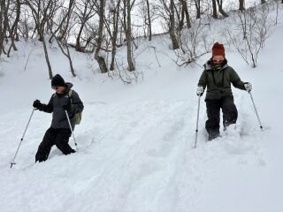 image_original (3).jpg