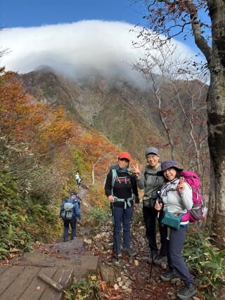 image_original (4).jpg