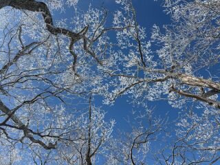 image_original (4).jpg