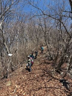 image_original (6).jpg