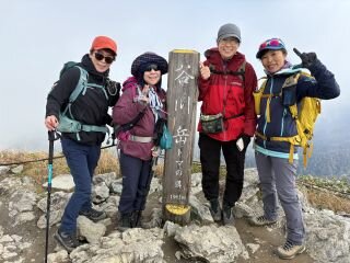 image_original (3).jpg