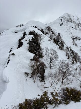 image_original (6).jpg