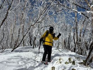 image_original (5).jpg