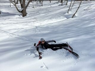 image_original (3).jpg