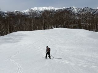 image_original (3).jpg