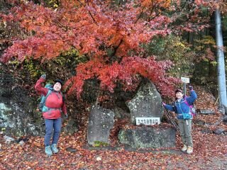 image_original (4).jpg