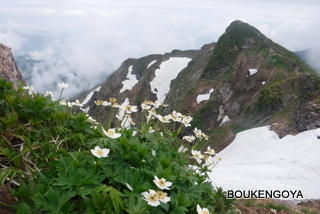 DSCF0579.JPG