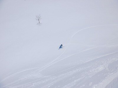 DSCF2906.jpg