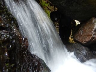 DSCN0090.JPG