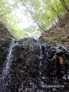 DSCN4203.JPG