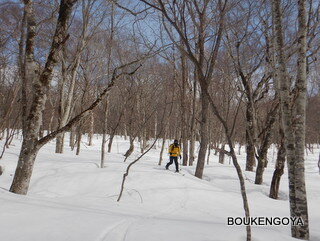 DSCN8875.JPG