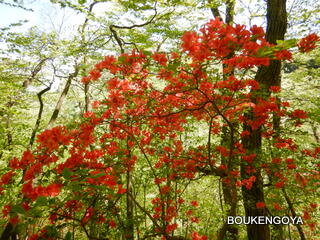 DSCN9184.JPG