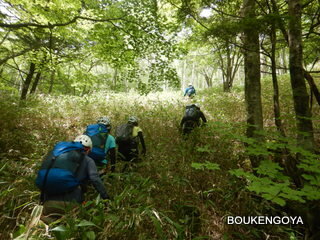 DSCN9528.JPG
