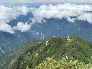 IMG_9931.JPG