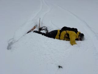 image_original (4).jpg