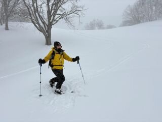 image_original (3).jpg