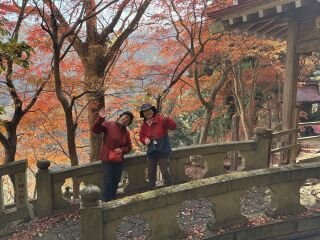 image_original (3).jpg