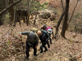 image_original (4).jpg