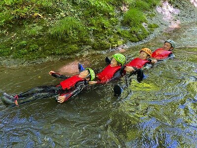 image_original (5).jpg