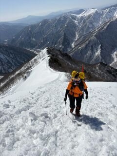 image_original (4).jpg