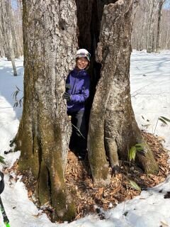 image_original (8).jpg