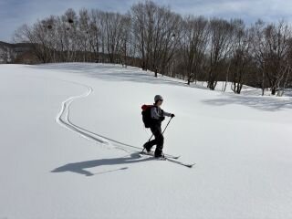 image_original (4).jpg