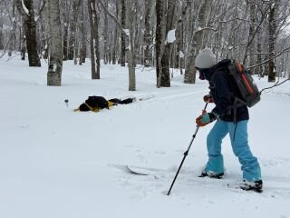 image_original (6).jpg