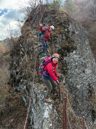 image_original (5).jpg