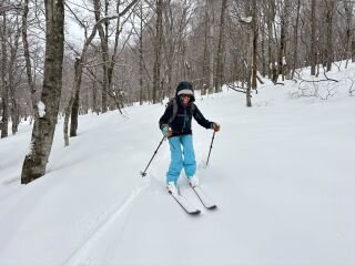 image_original (9).jpg