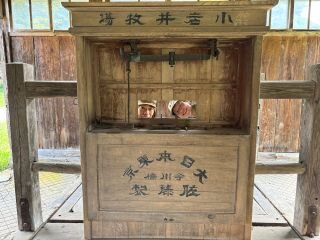 image_original (20).jpg