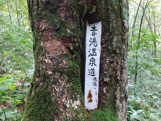 秘湯に泊まって山上の楽園へ。赤湯泊・苗場山2日間